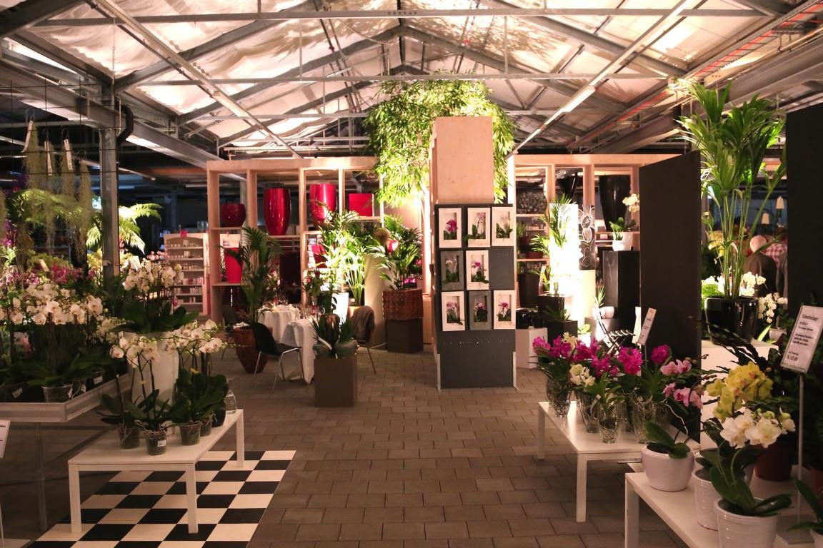 GartenHaus Wyss, weiteres Bild